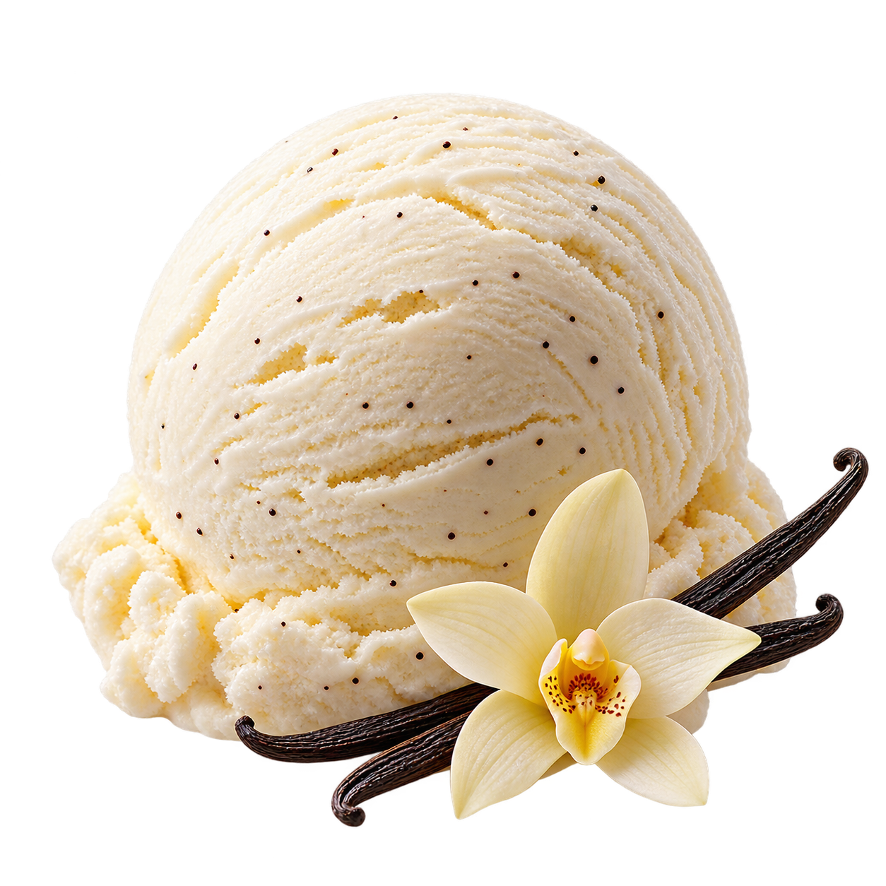 Vanilla